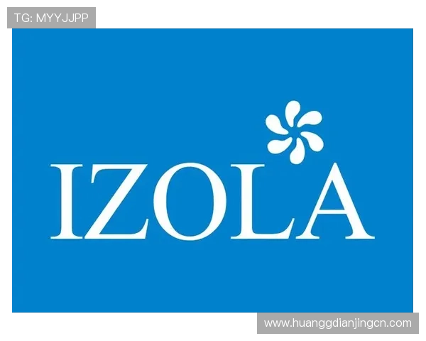 皇冠手机网登入网址官方入口地址，快速登录皇冠手机网的实用技巧