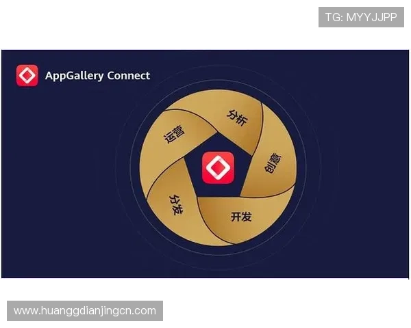 皇冠最新app版本下载安全保障措施，保障用户信息安全与隐私