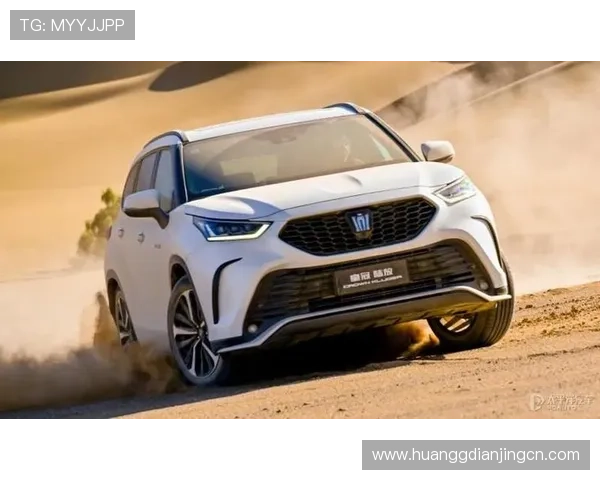 皇冠注册过程中常遇到的难题及应对措施详尽介绍