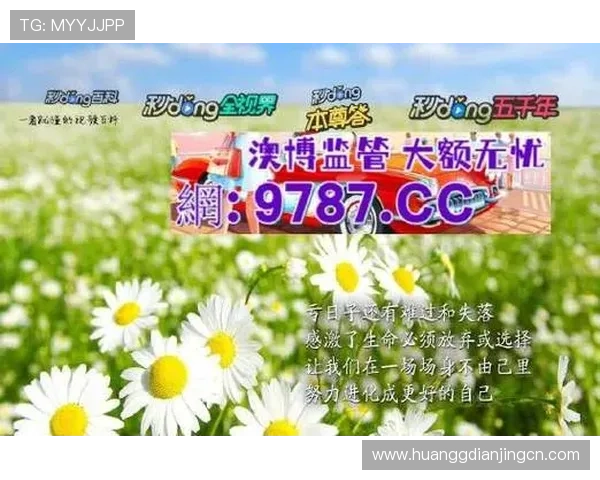 皇冠电玩城官方排名详解,揭示影响排名的关键因素与玩法技巧 皇冠电玩城官方排名详解,揭示影响排名的关键因素与玩法技巧