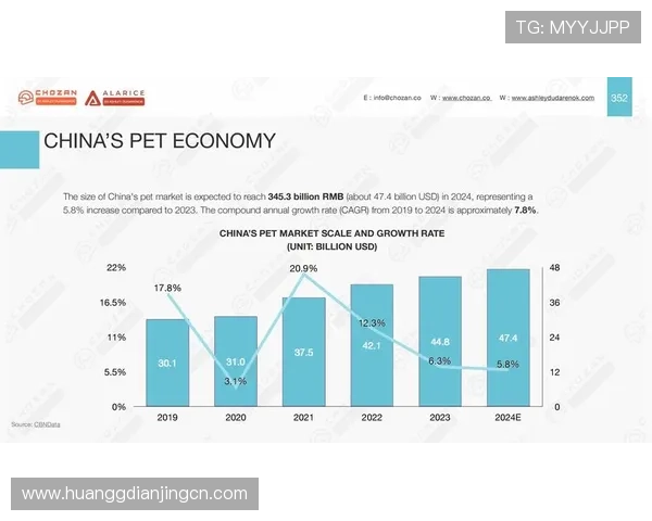 澳门皇冠中国如何引领行业潮流，提升客户体验的新策略